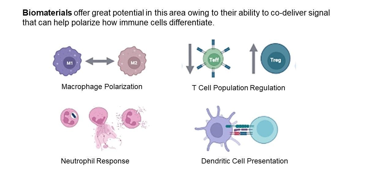 Designing new biomaterials to better control the specific features of immune response