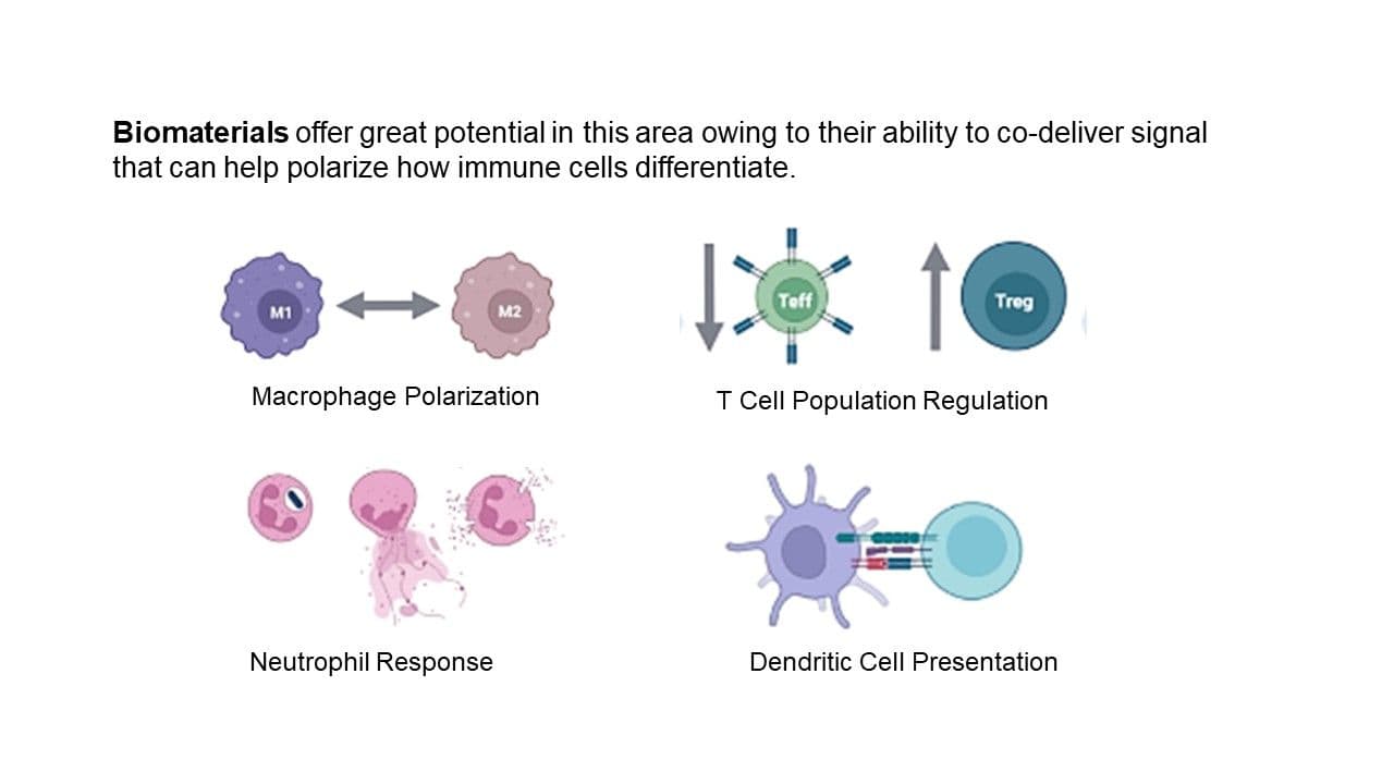 Designing new biomaterials to better control the specific features of immune response
